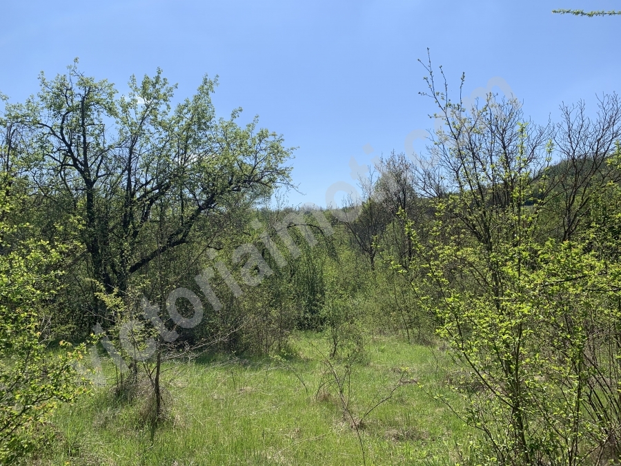 Хубав парцел в с.Косарка