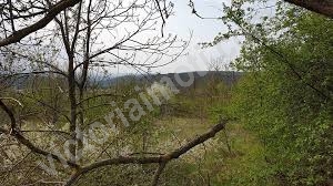 Хубав парцел в гр. В. Търново